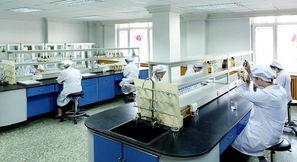 豪華賽皇宮，藥價(jià)為何高？——透視哈藥六廠(chǎng)事件中的網(wǎng)絡(luò)技術(shù)與輿論影響